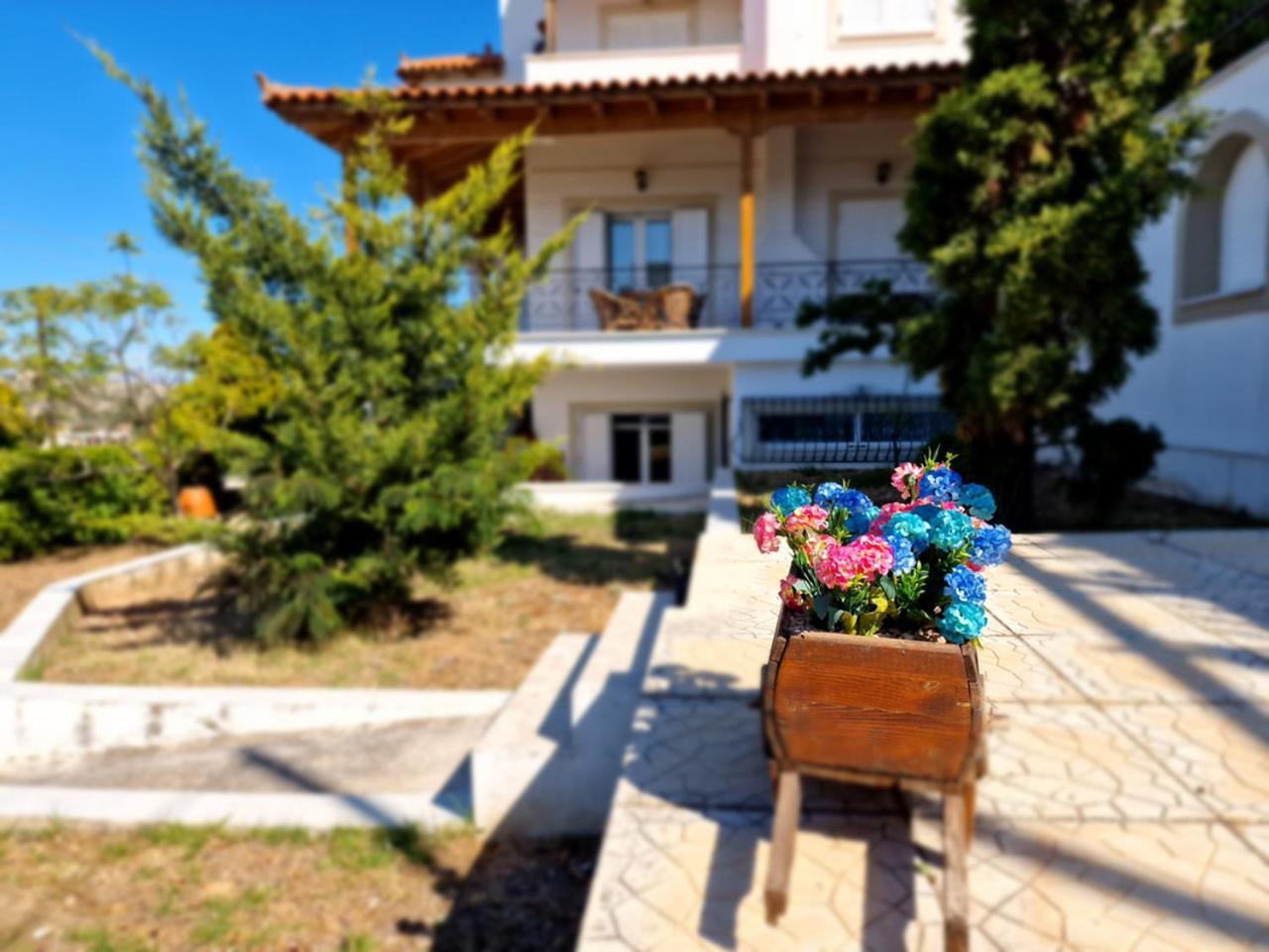 The Mirador Boutique Villa With Scenic Sea View Pórto Ráfti Eksteriør billede