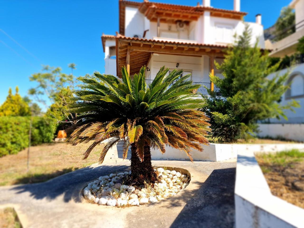 The Mirador Boutique Villa With Scenic Sea View Pórto Ráfti Eksteriør billede